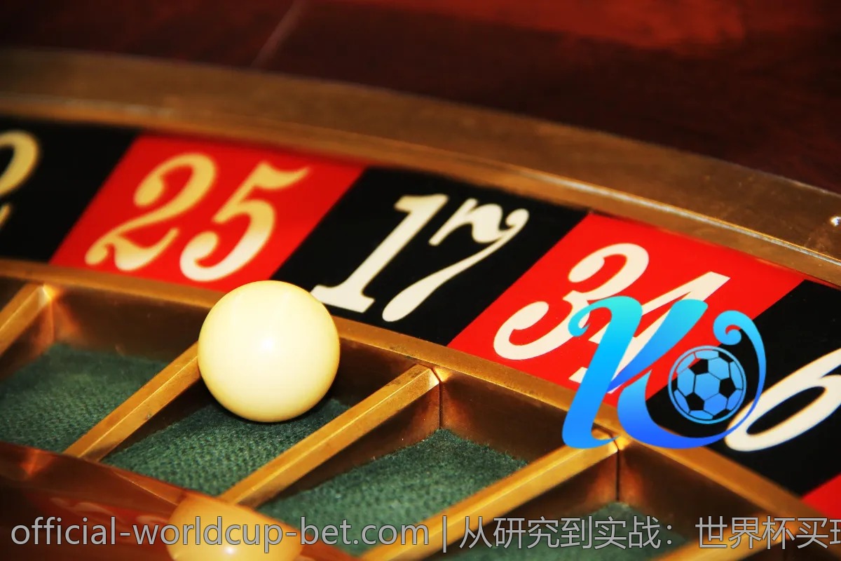 从研究到实战：世界杯买球app的使用技巧