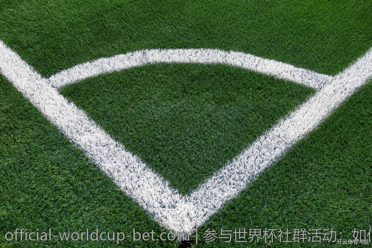 参与世界杯社群活动：如何找到志同道合的球迷？