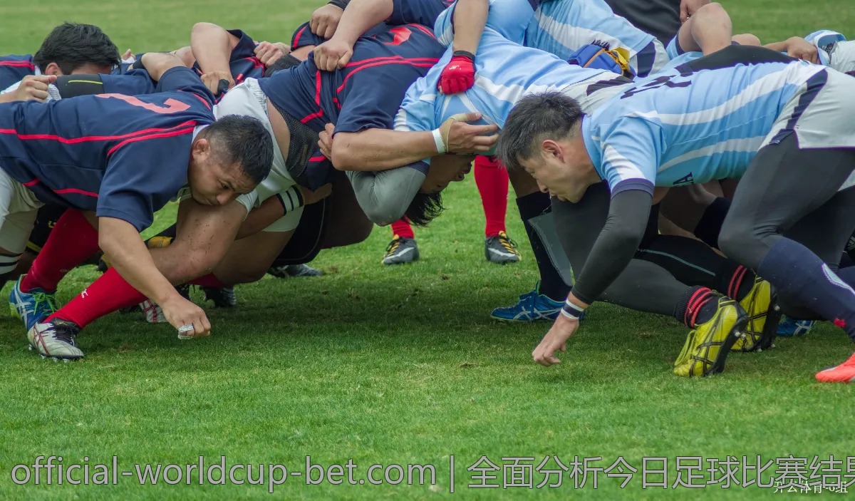 全面分析今日足球比赛结果，专家观点逐一解读