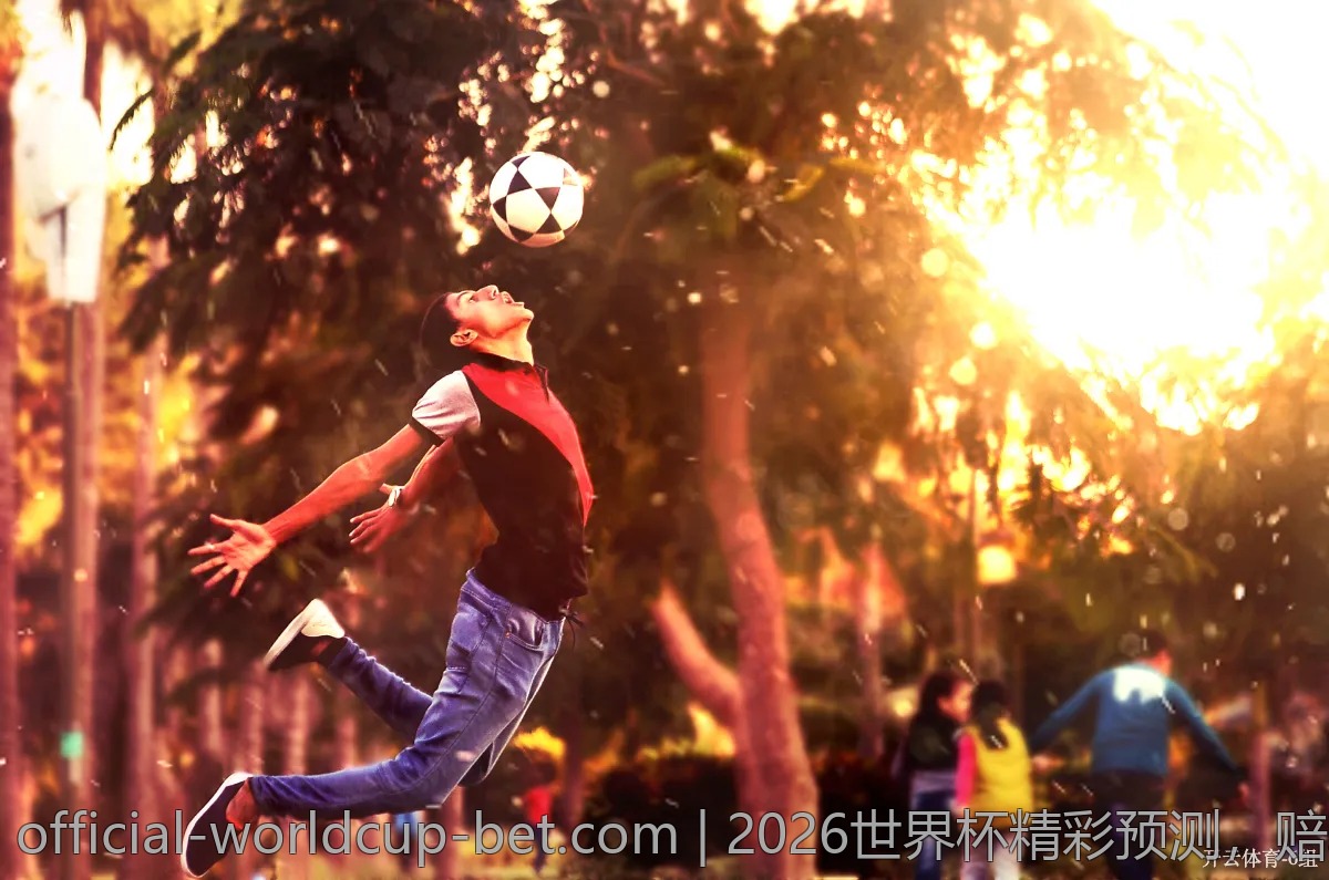 2026世界杯精彩预测，赔率数据带你飞
