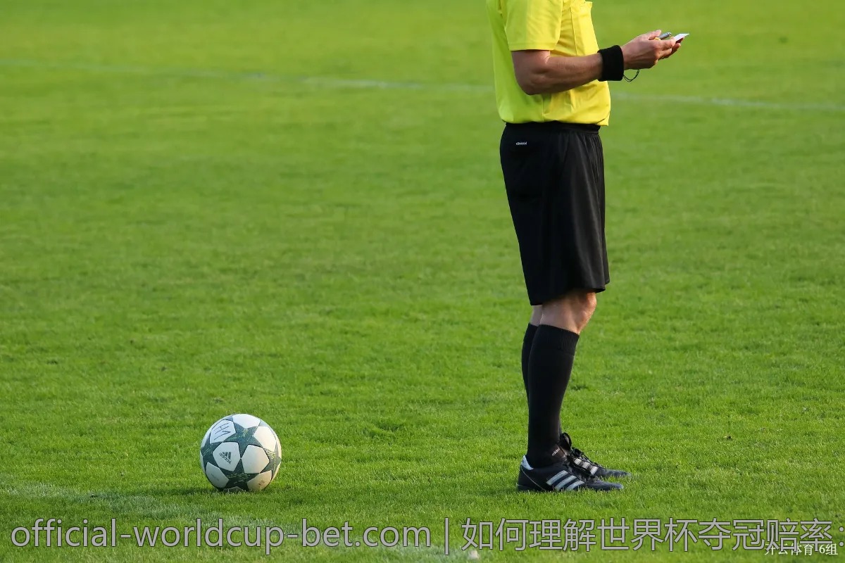 如何理解世界杯夺冠赔率：新手必看攻略