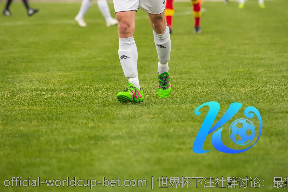 世界杯预测技巧：如何分析球队状态与战绩？