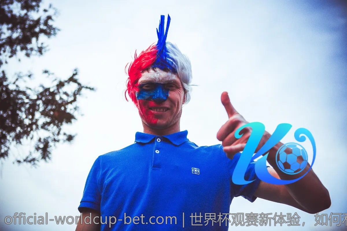 世界杯观赛新体验，如何利用赛程提升观看乐趣